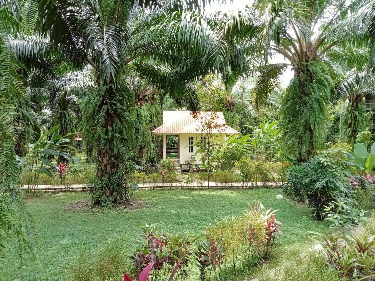 Khao Sok Palm Garden Resort Khao Sok National Park Exterior foto