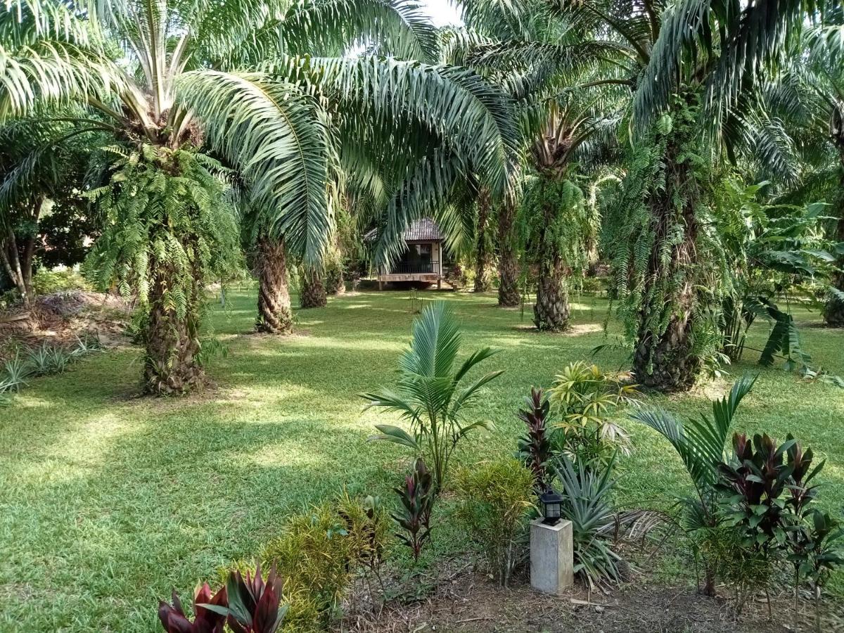 Khao Sok Palm Garden Resort Khao Sok National Park Exterior foto