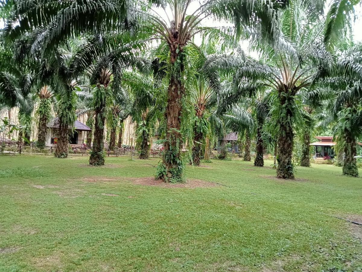 Khao Sok Palm Garden Resort Khao Sok National Park Exterior foto
