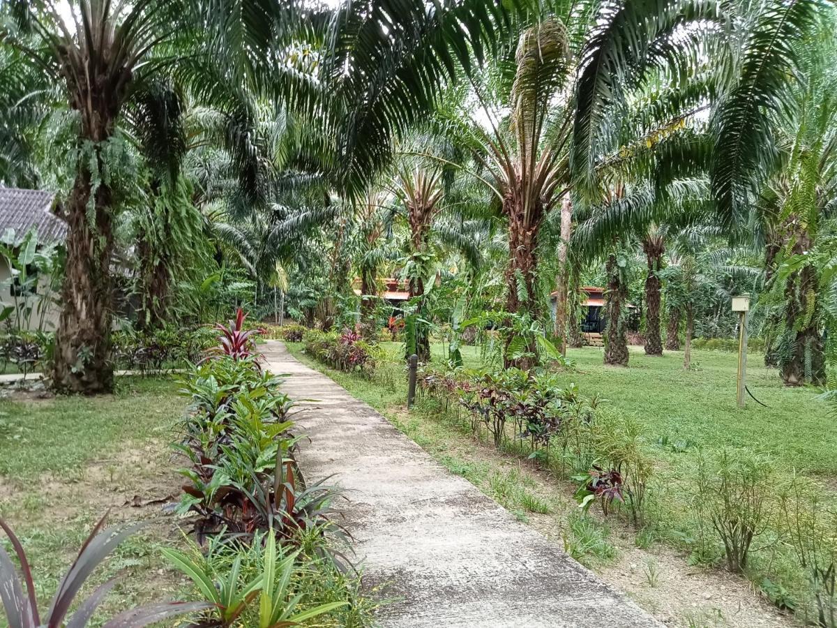 Khao Sok Palm Garden Resort Khao Sok National Park Exterior foto