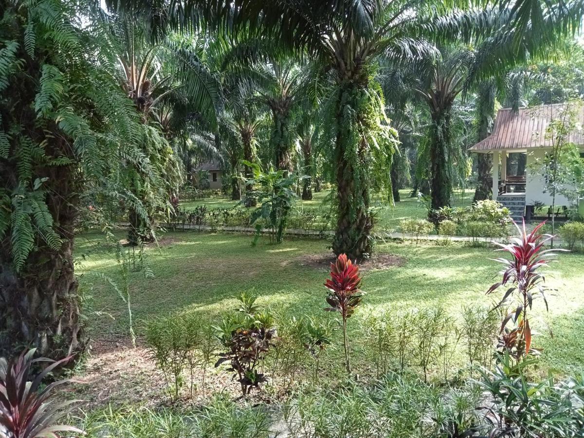 Khao Sok Palm Garden Resort Khao Sok National Park Exterior foto