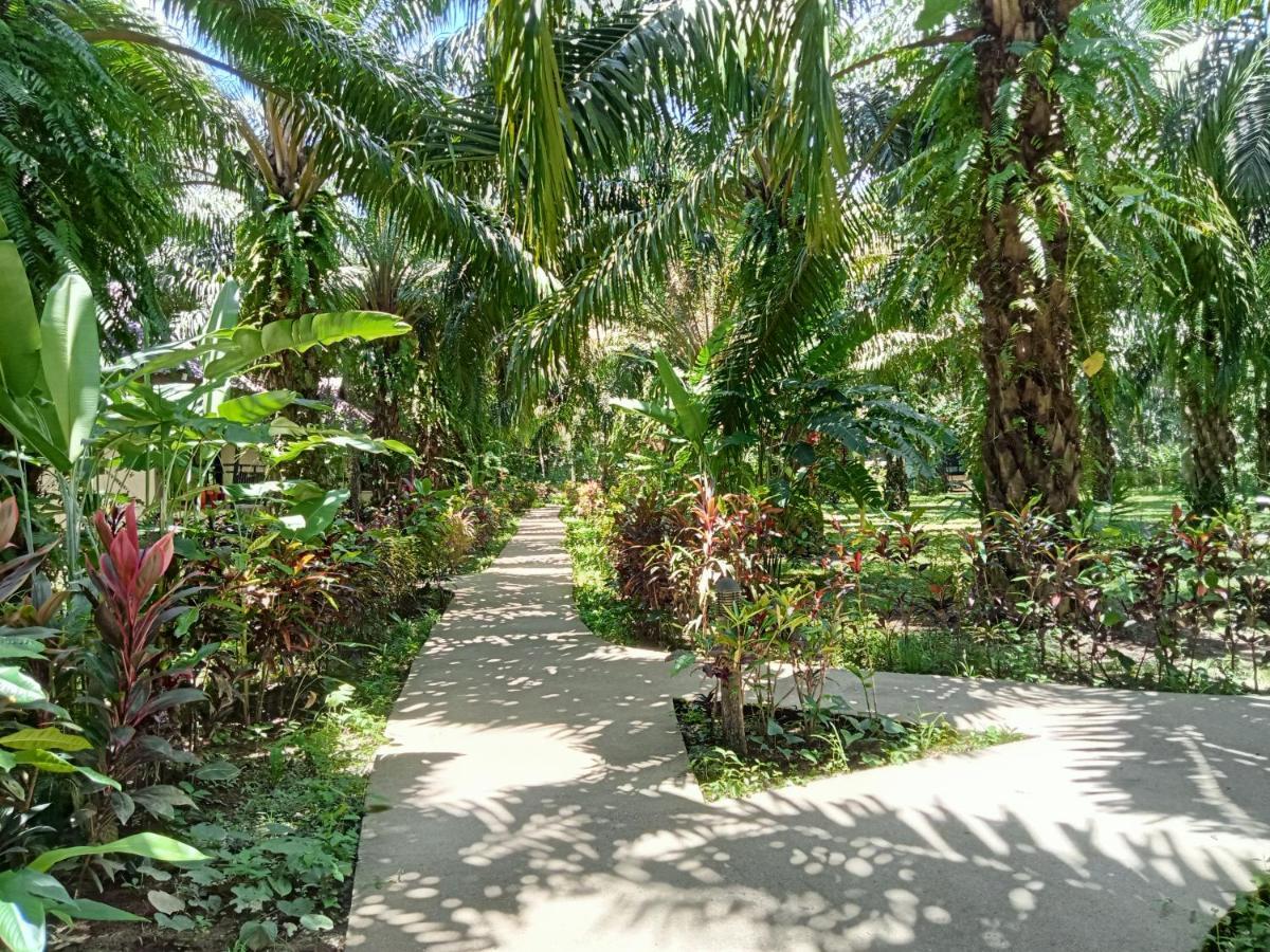 Khao Sok Palm Garden Resort Khao Sok National Park Exterior foto