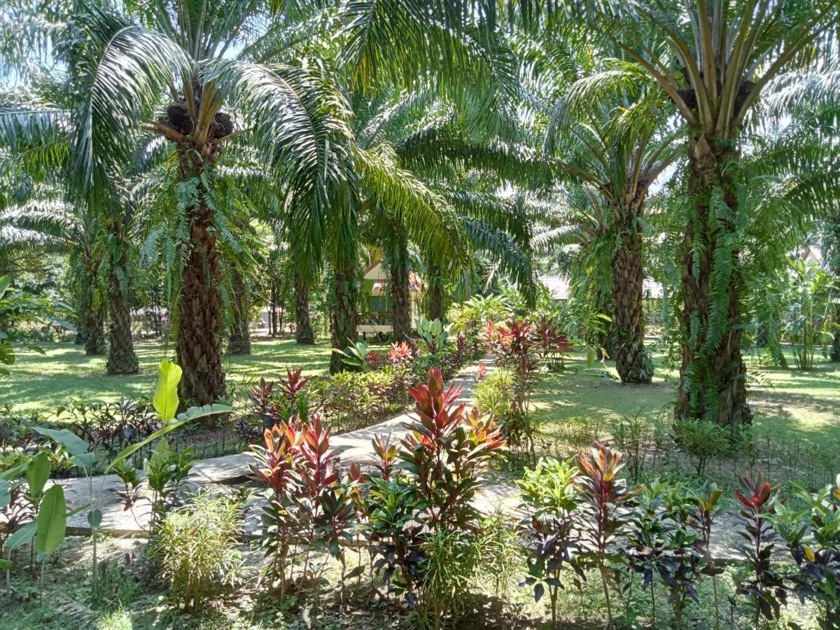 Khao Sok Palm Garden Resort Khao Sok National Park Exterior foto