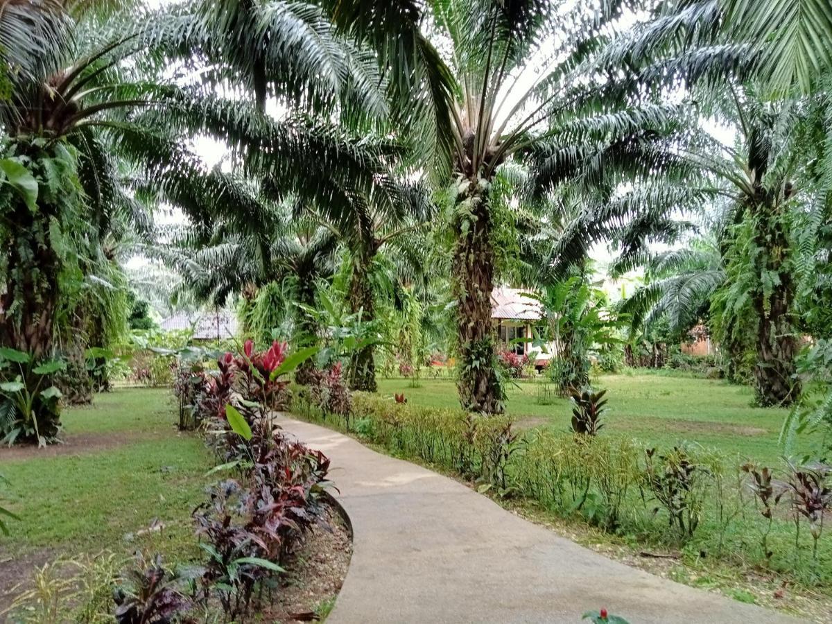 Khao Sok Palm Garden Resort Khao Sok National Park Exterior foto