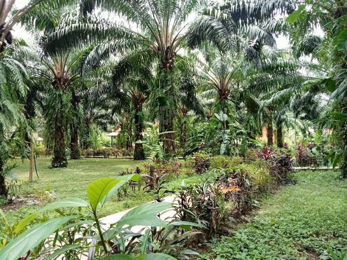 Khao Sok Palm Garden Resort Khao Sok National Park Exterior foto
